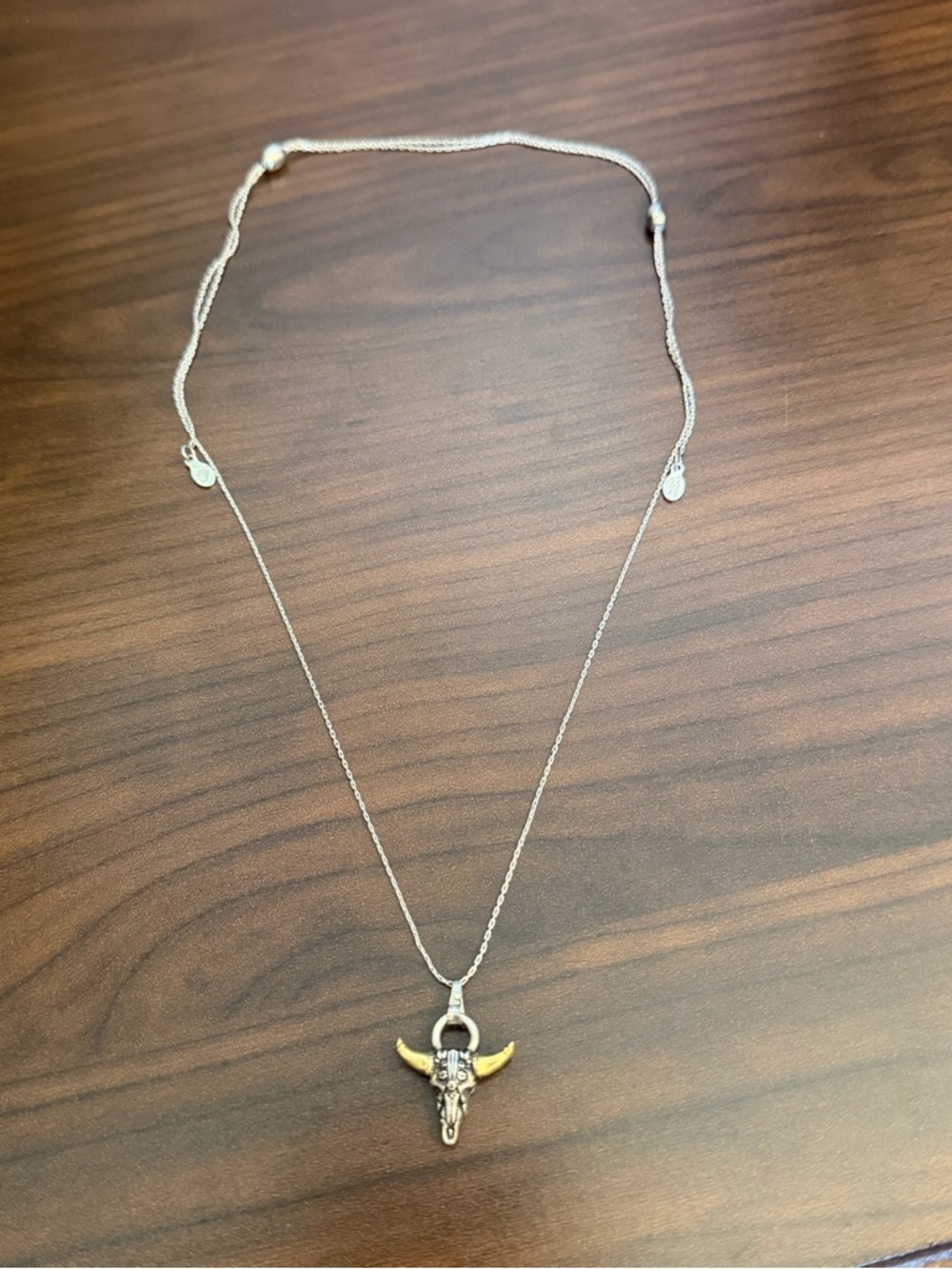 alex and ani spirited skull necklace silver - Picture 2 of 5